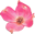 spring.png