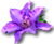 summer.png