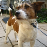 bon_091031.jpg